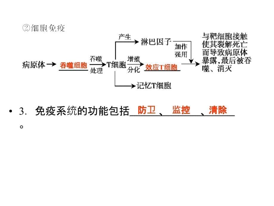 人教版教学课件高中生物人教版必修3《免疫调节》课件_第5页