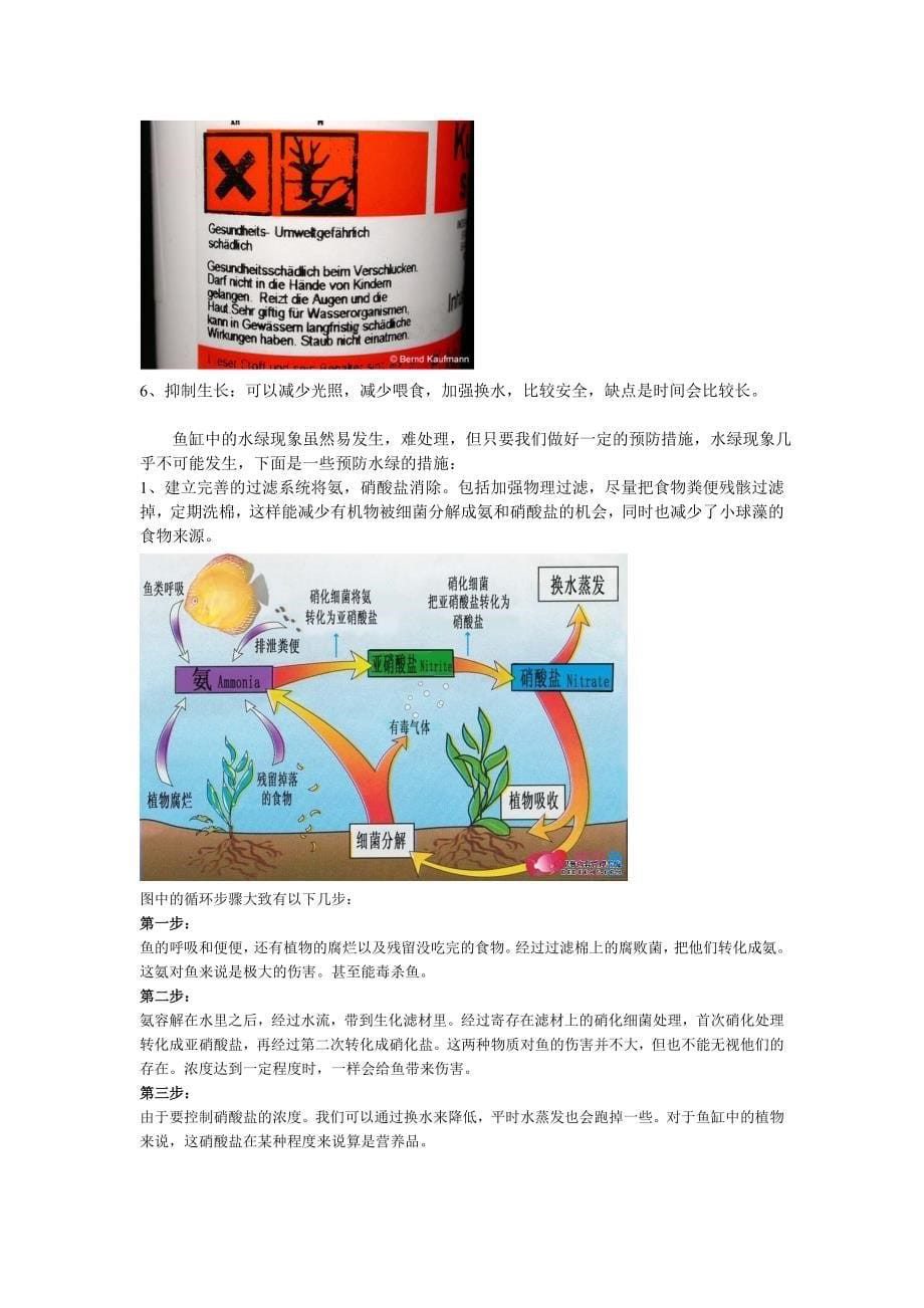 鱼缸绿水的原因和解决办法_第5页