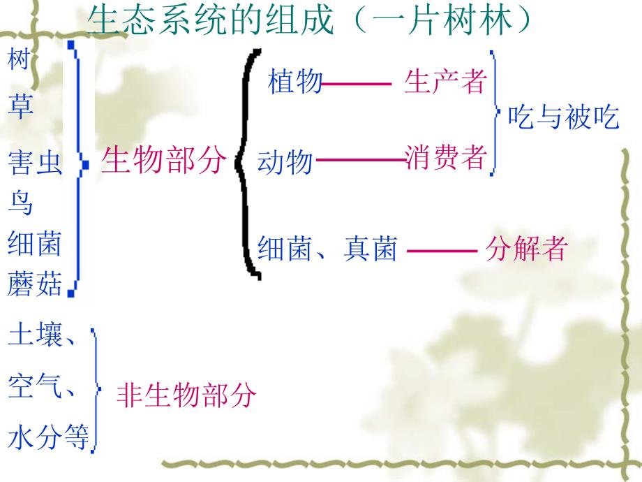 生物与环境组成生态系统_第4页