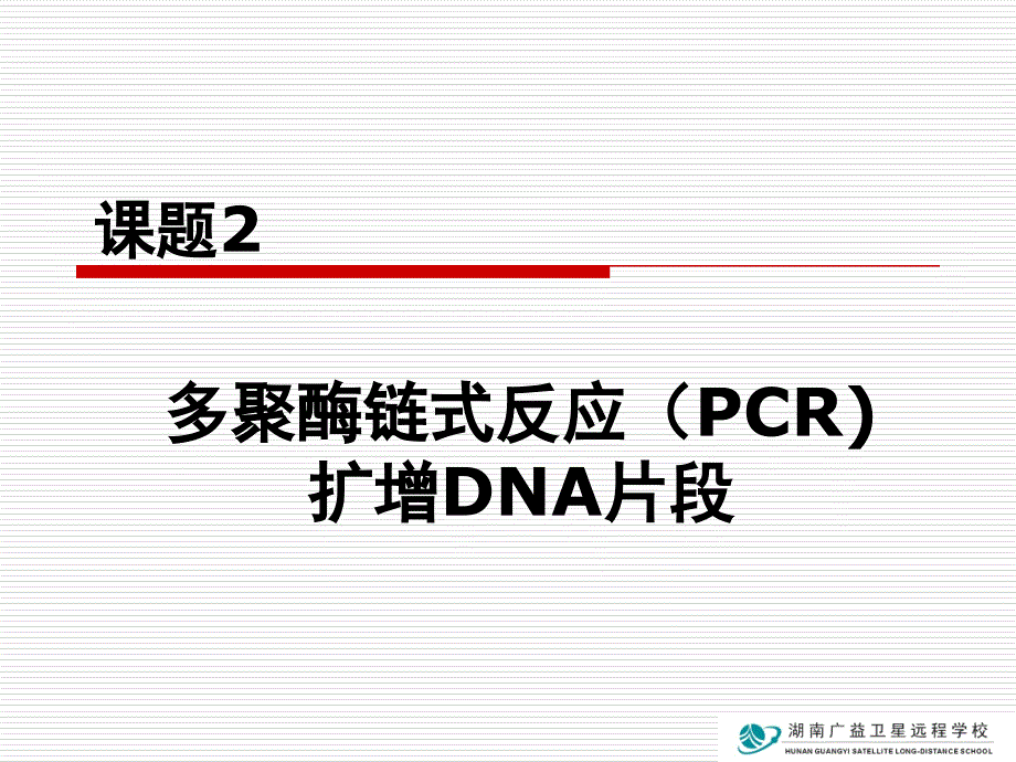 高中生物新课标人教版课件PCR技术_第1页