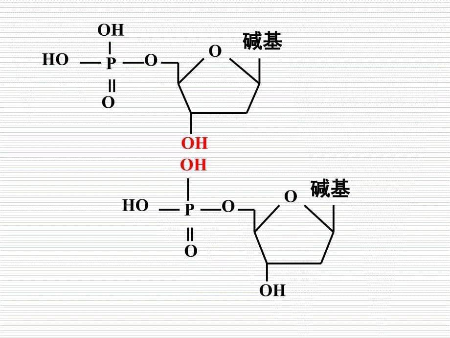 高中生物新课标人教版课件PCR技术_第5页