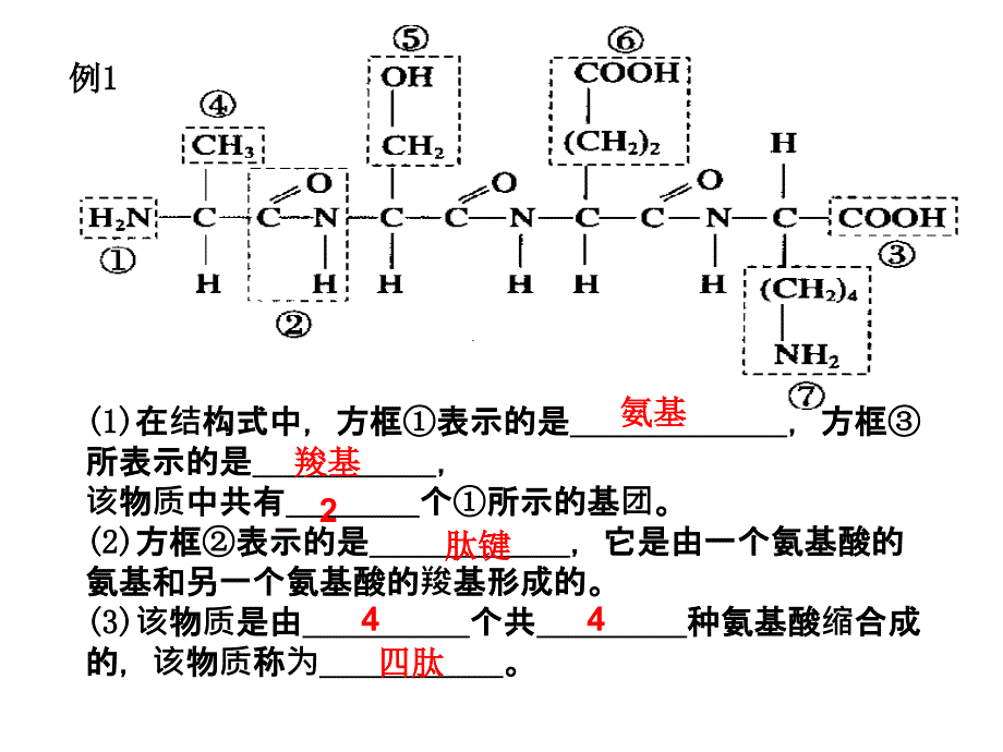 苏教版教学课件细胞的结构期中考试复习课件_第2页