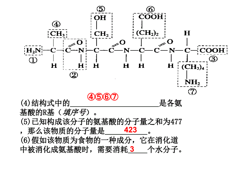 苏教版教学课件细胞的结构期中考试复习课件_第3页