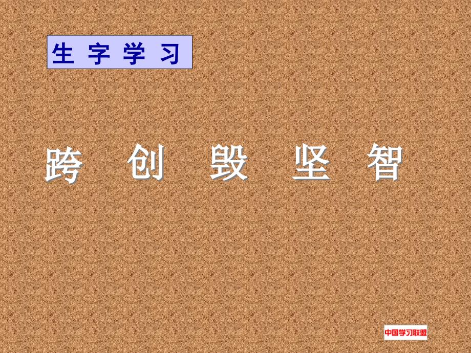 小学三年级语文赵州桥人教版_第3页