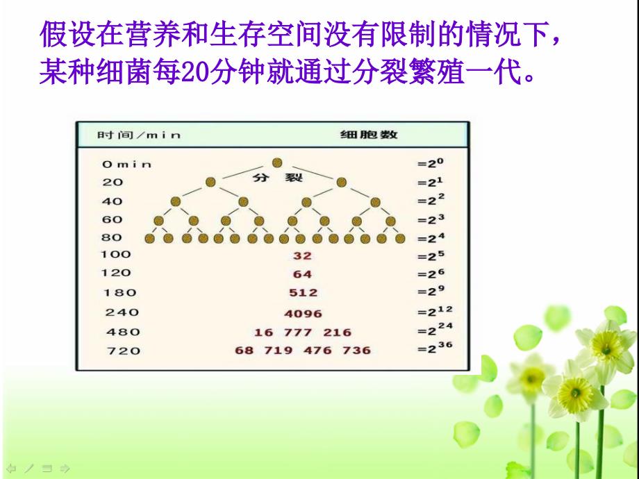 人教版教学课件贵州省北师大贵阳附中高二生物必修三《42种群的数量变化》课件_第2页