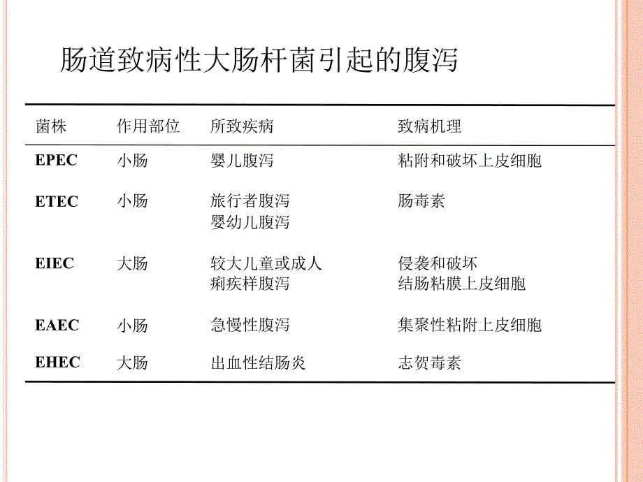 肠出血性大肠杆菌O104H4检测技术_第5页