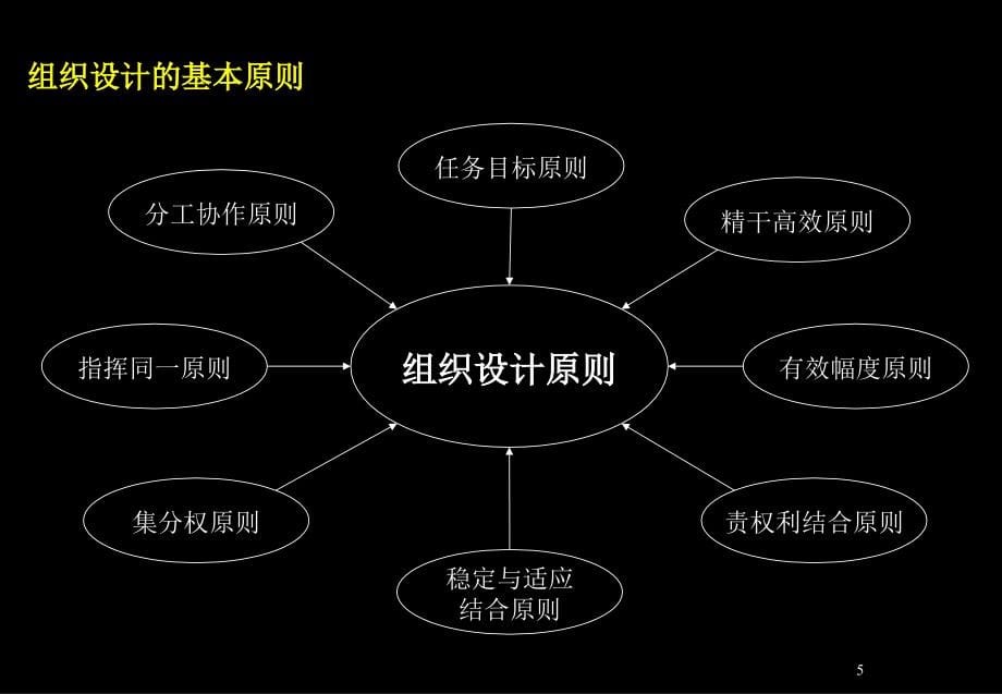 TCL股份组织结构设计方案_第5页