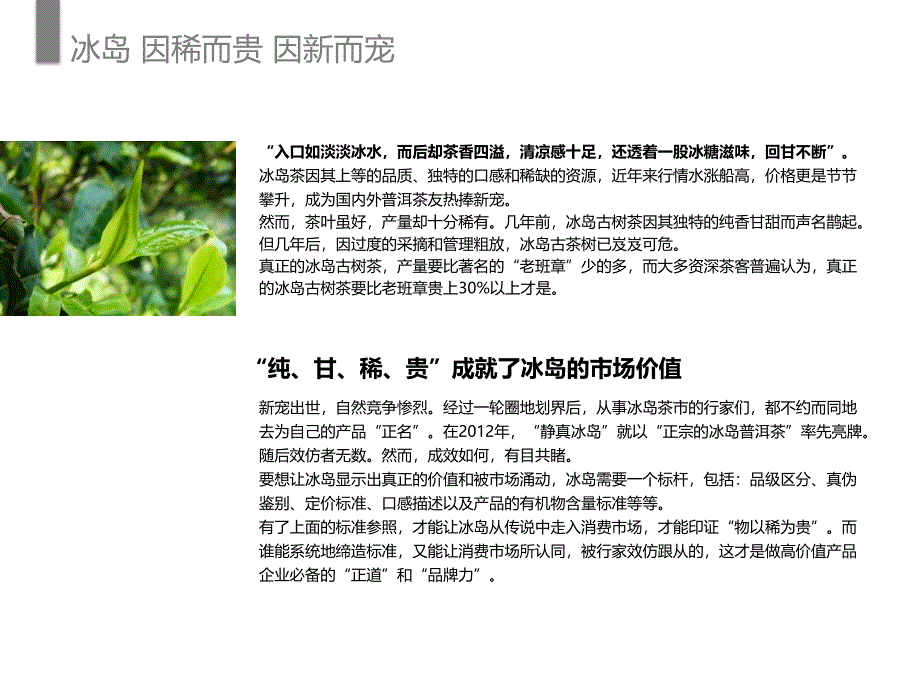 西山冰岛品牌营销建议_第4页