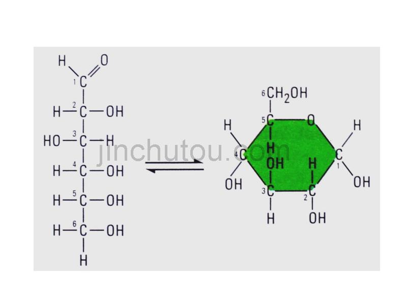 人教版教学课件必修一组成生物体的有机物_第4页