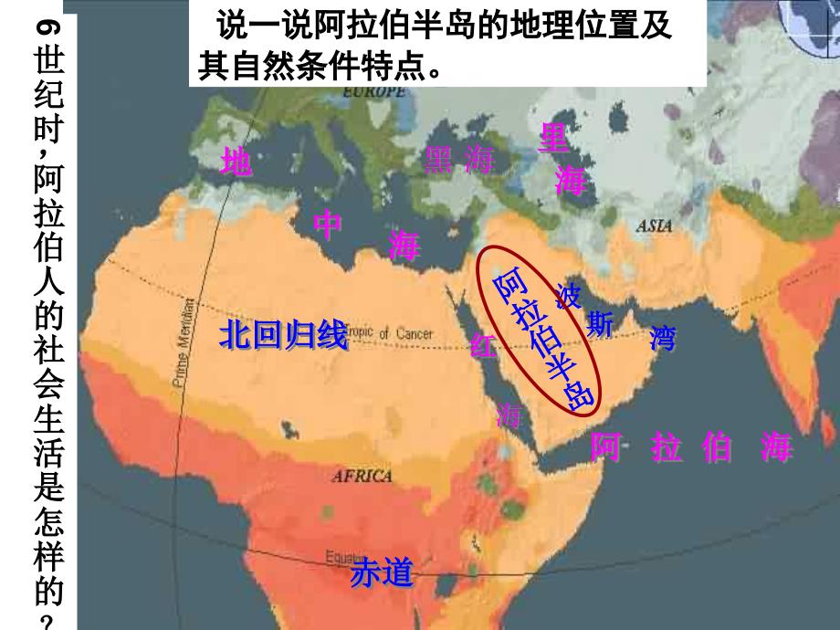 《阿拉伯国家的建立》课件3_第4页