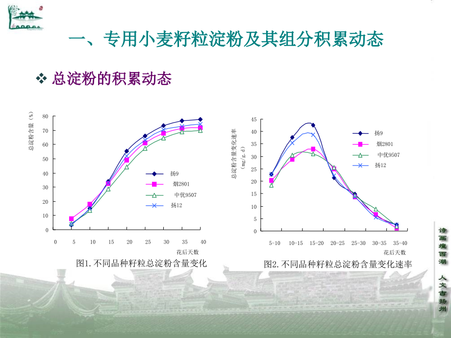 专用小麦籽粒淀粉形成特性与加工品质的关系及其调控_第3页