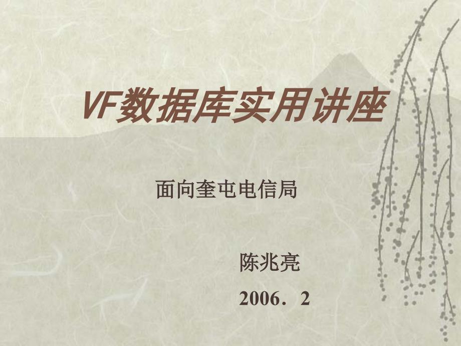 VF数据库实用讲座_第1页