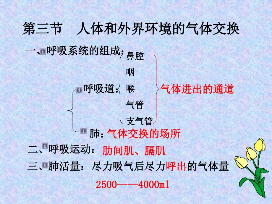 七年级生物第四节人体和外界环境的气体交换课件苏教版_第2页