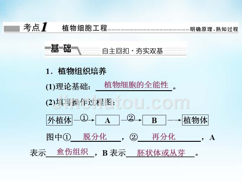 2016届高三生物一轮复习 第2讲 细胞工程课件 新人教版选修3_第2页