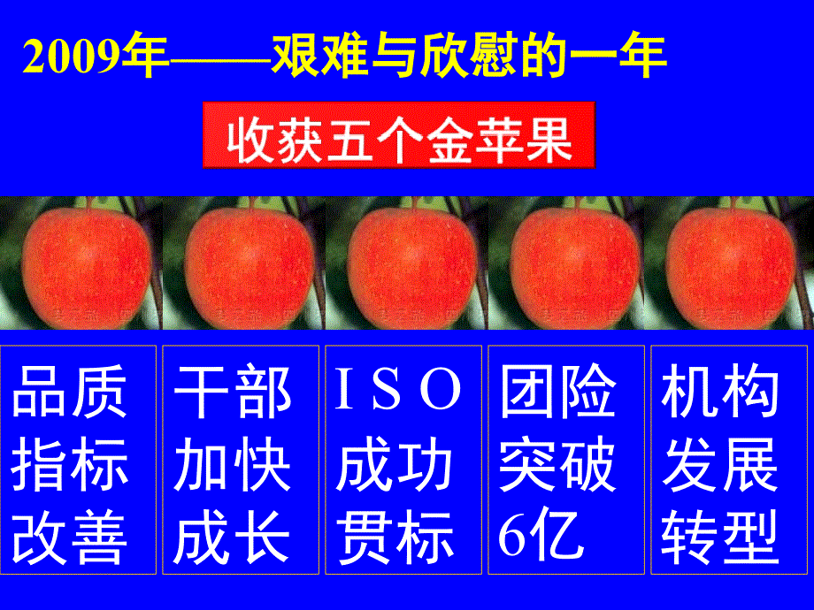 年度分公司总结报告_第4页