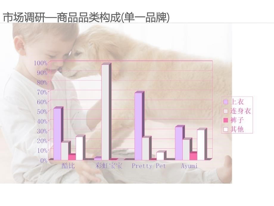 宠物服装市场研究及品牌策划_第5页