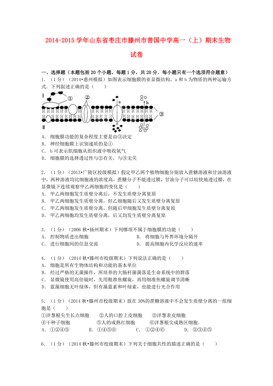 山东省枣庄市滕州市善国中学2014-2015学年高一生物上学期期末试卷（含解析）_第1页