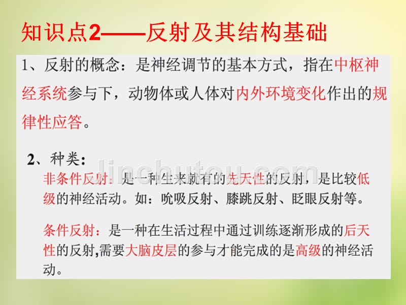 四川省高中生物 第一节《通过神经系统的调节》课件 新人教版必修3_第5页