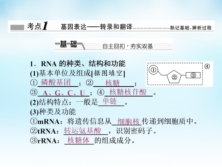 2016届高三生物一轮复习 第二单元 第3讲 基因的表达课件 新人教版必修2_第2页