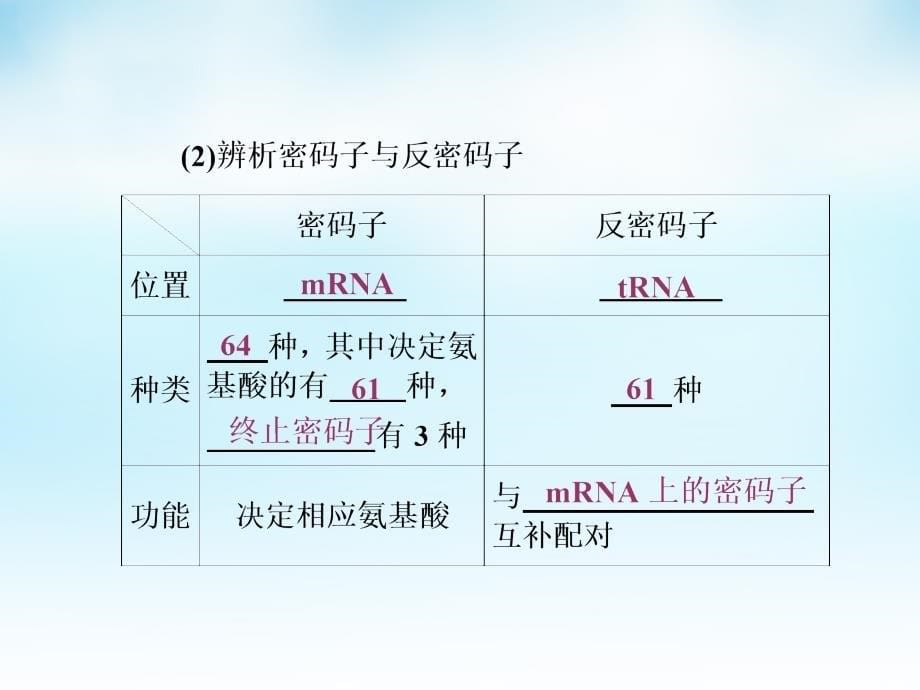 2016届高三生物一轮复习 第二单元 第3讲 基因的表达课件 新人教版必修2_第5页