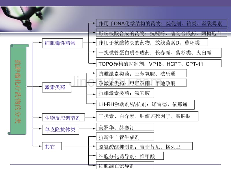 妇科化疗药物毒性反应及其护理措施_第3页