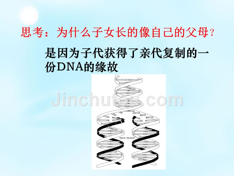 天津市梅江中学高中生物 基因控制形状课件 新人教版必修2_第3页