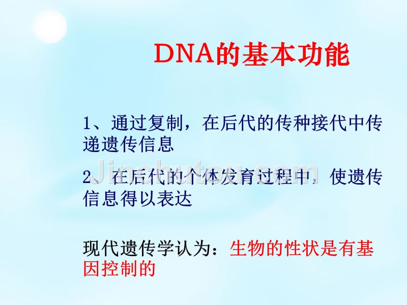 天津市梅江中学高中生物 基因控制形状课件 新人教版必修2_第4页