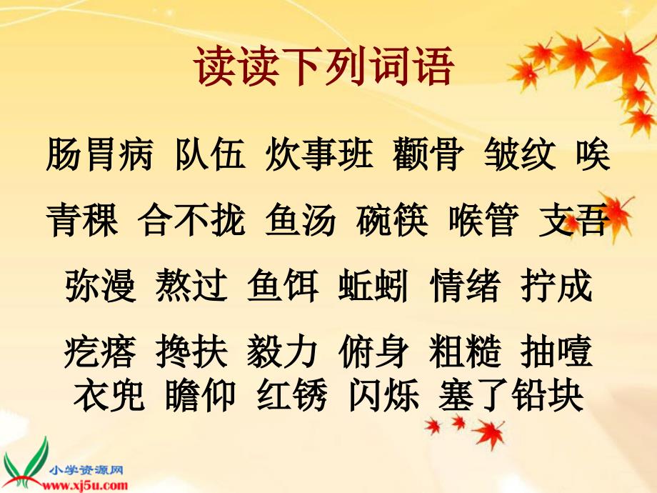 北京版六年级语文上册《金色的鱼钩4》课件_第3页