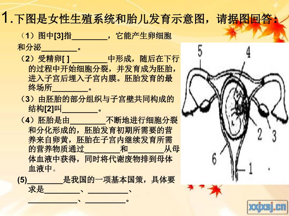 初中生物七年级下册综合训练(168)_第2页