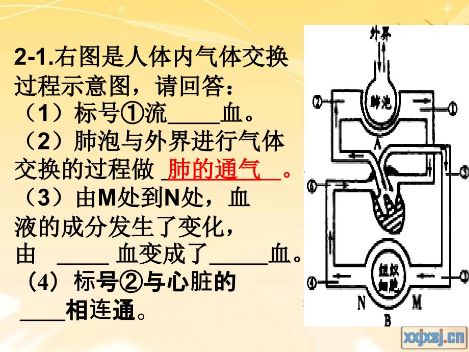 初中生物七年级下册综合训练(168)_第4页