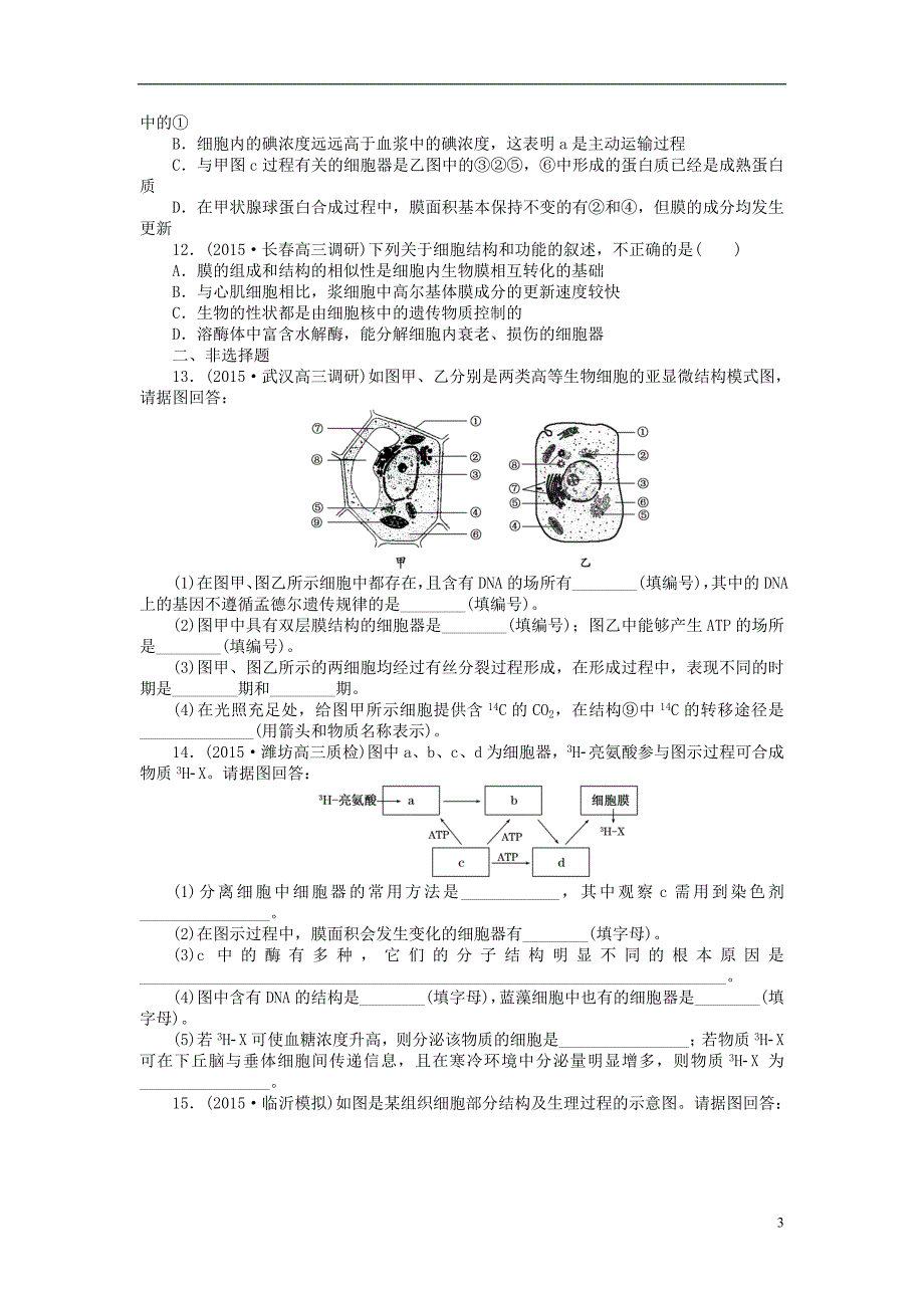 2016届高三生物一轮复习 第二单元 第2讲 细胞器与生物膜系统课下限时集训 新人教版必修1_第3页