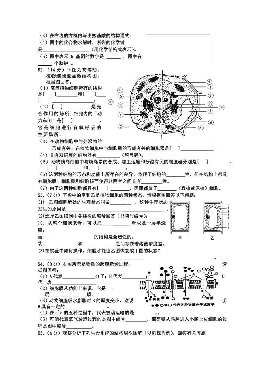 吉林省安图一中09-10学年高一上学期期中考试（生物）_第5页