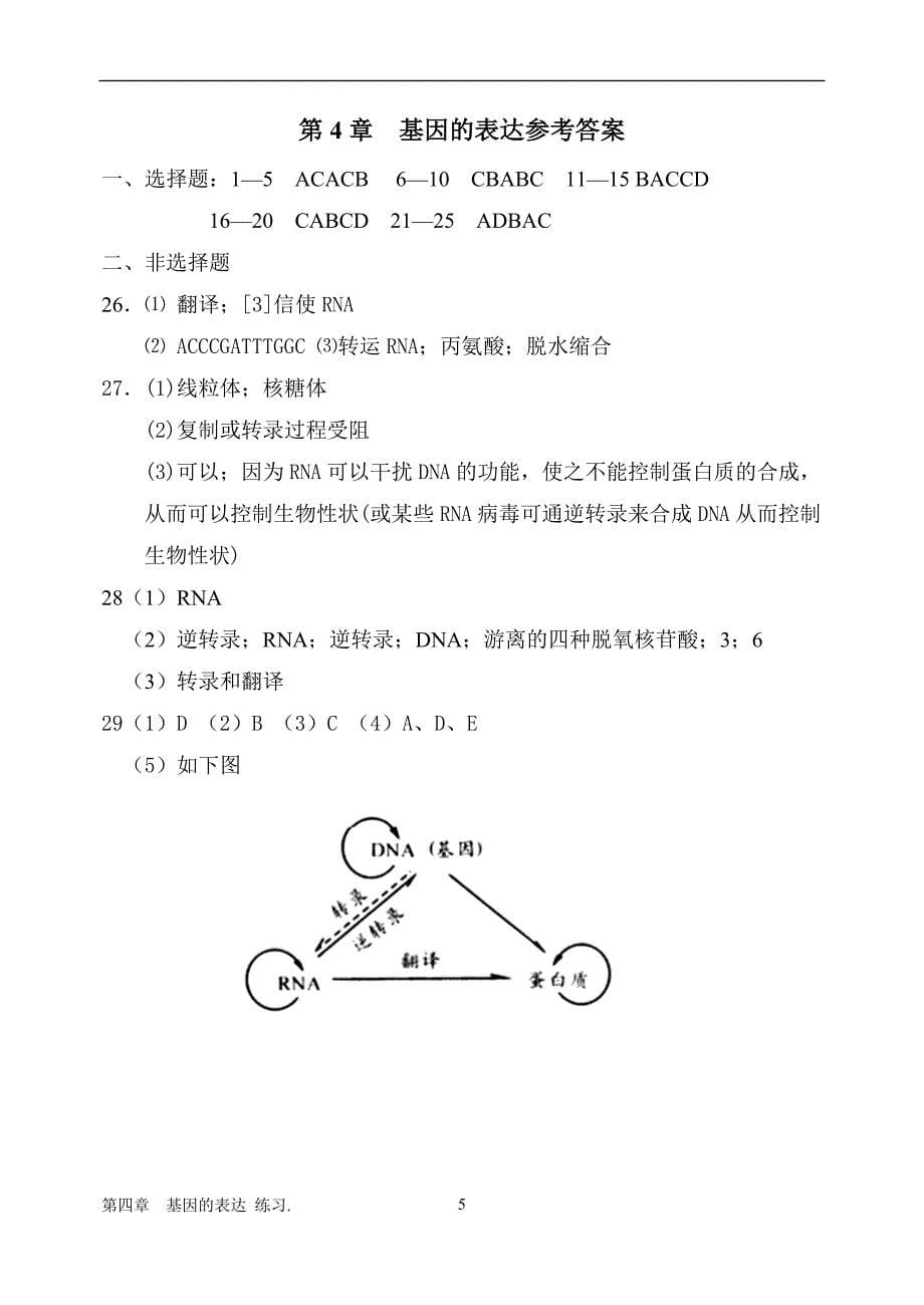 第四章  基因的表达 练习_第5页