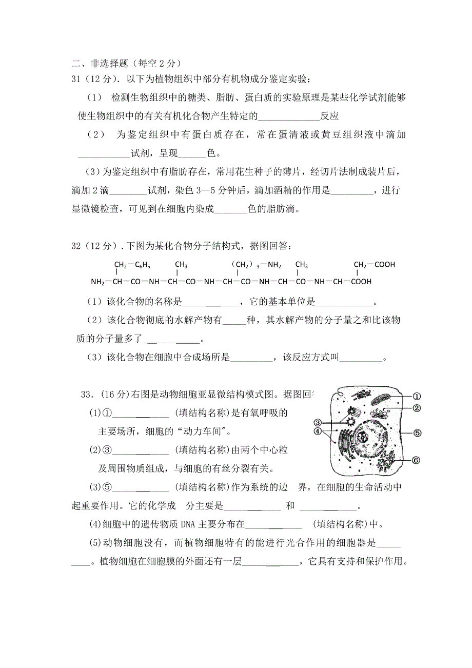 湖南省郴州市湘南中学2016-2017学年高一上学期期中考试生物试题 含答案_第4页