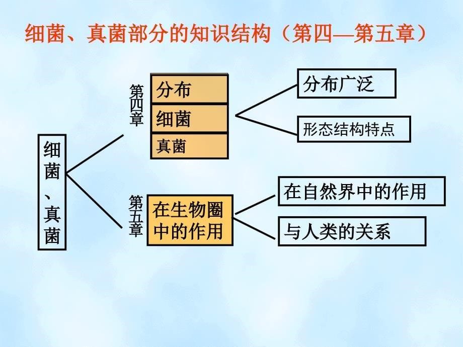 义务教育课程标准实验教科书_第5页