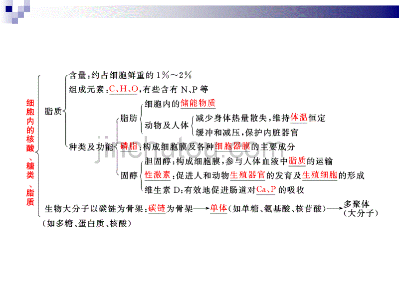 第一单元第四讲核酸、糖类与脂质_第5页