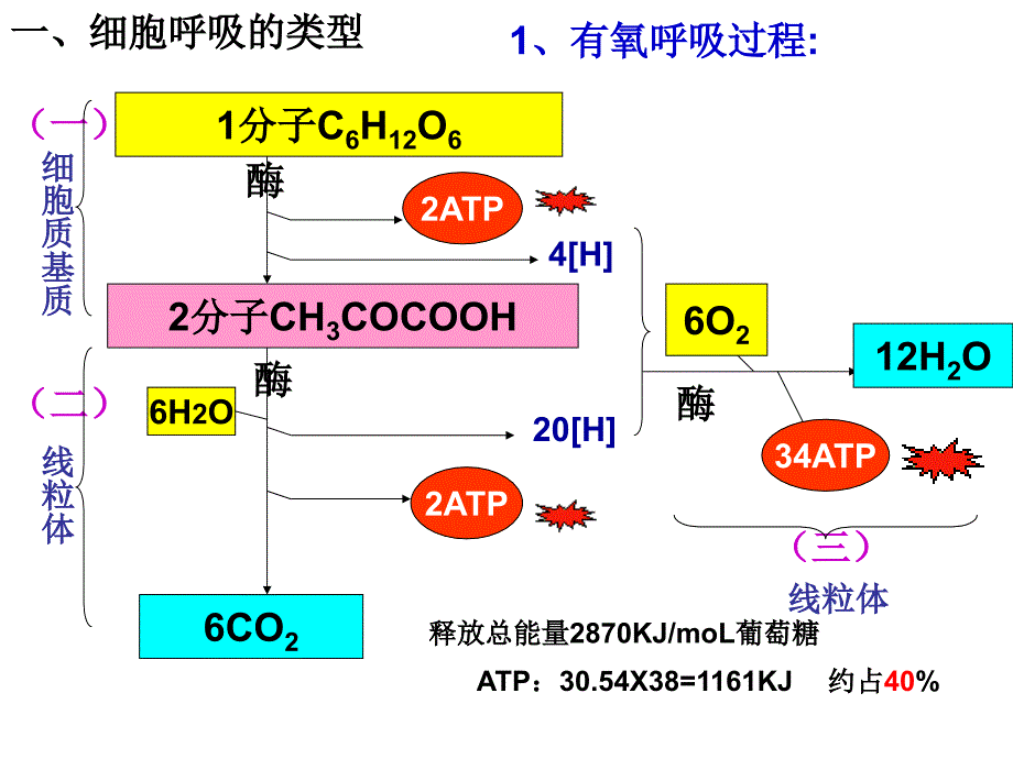 人教版教学课件《细胞呼吸》复习课件_第3页