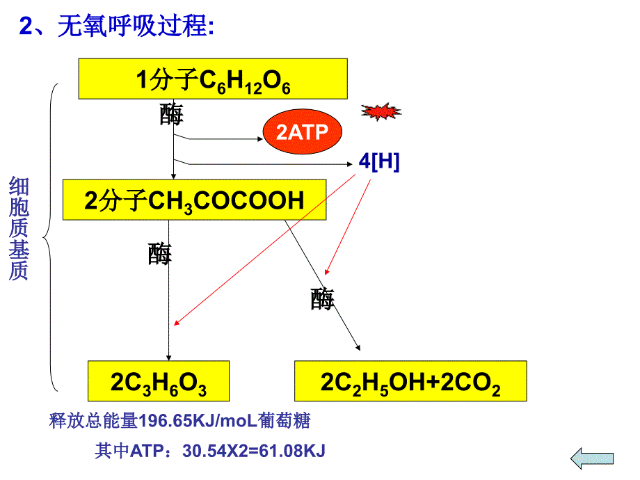 人教版教学课件《细胞呼吸》复习课件_第4页