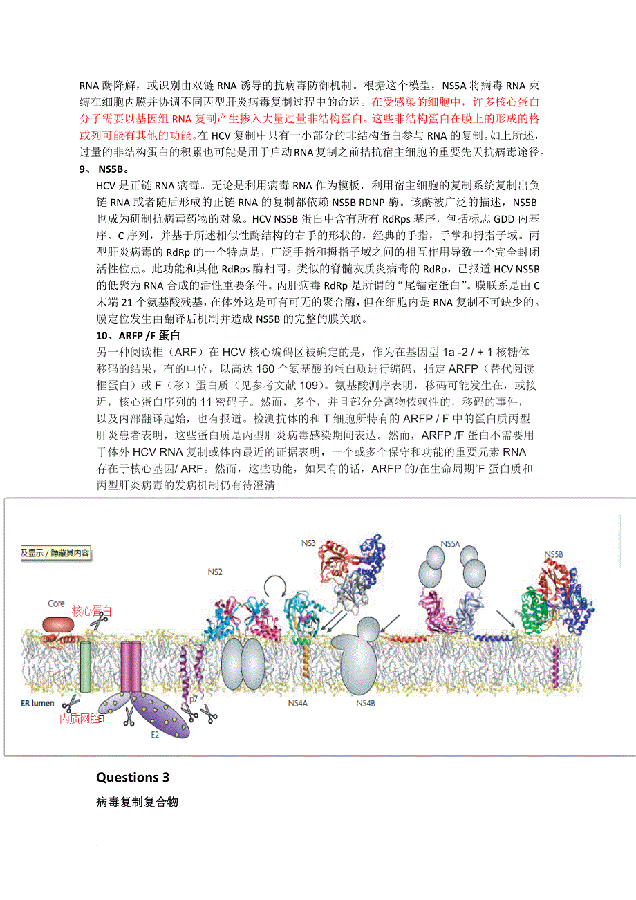 HCV 结构的介绍_第4页