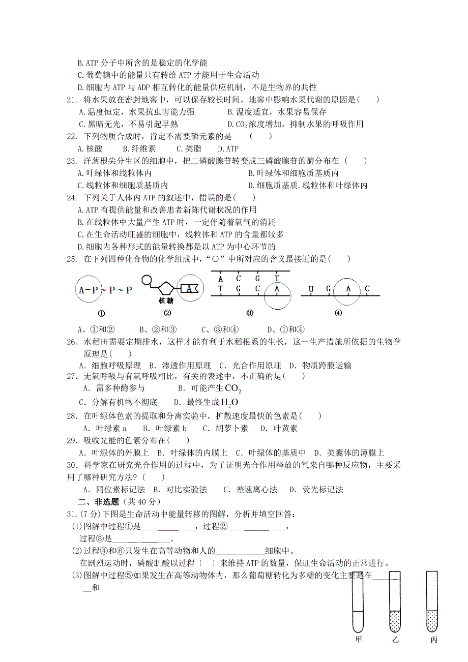 山东省济宁微山一中2011-2012学年高一3月月考生物试题_第3页