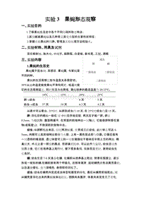 （新编）果蝇形态观察