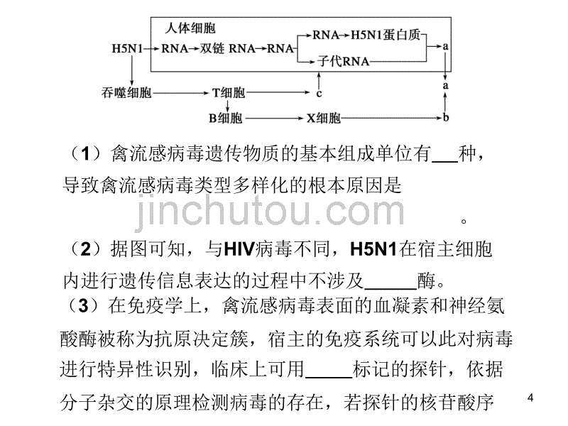 遗传综合分析徐_第4页