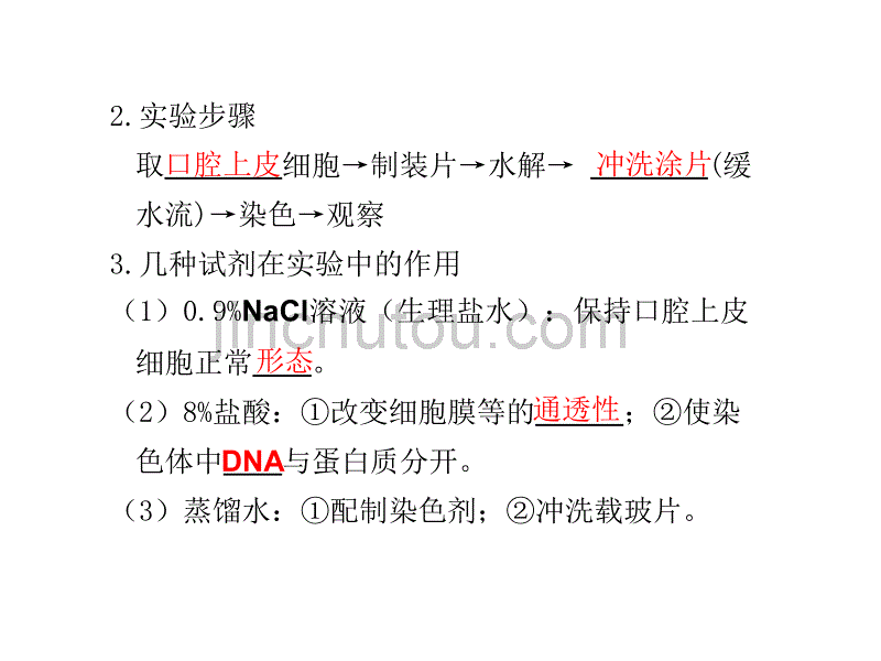 第4课时遗传信息的携带者—核酸细胞中的糖类和脂质_第2页