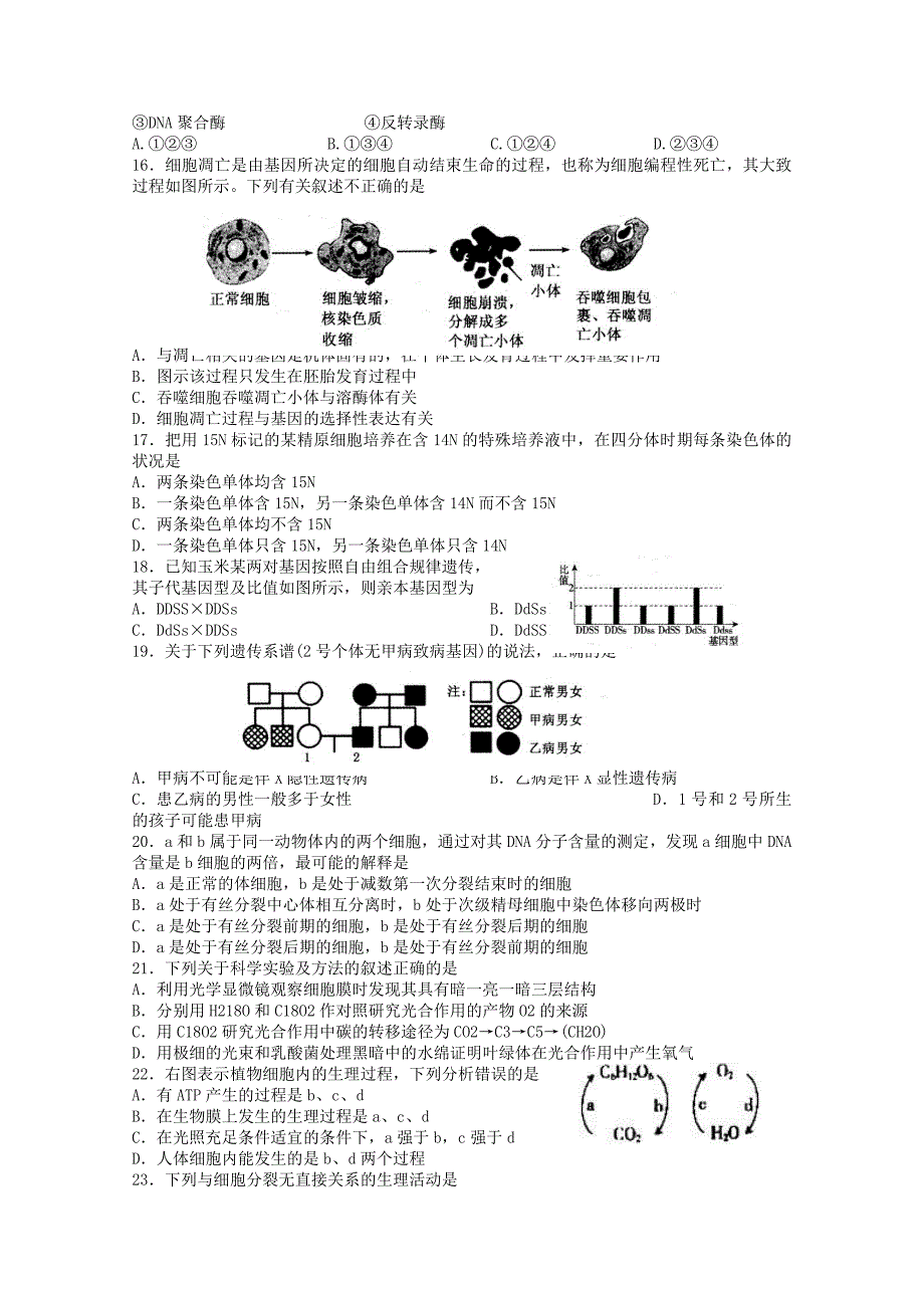 山东省聊城市莘县重点高中2013学年高三上学期期中考试生物试题_第3页