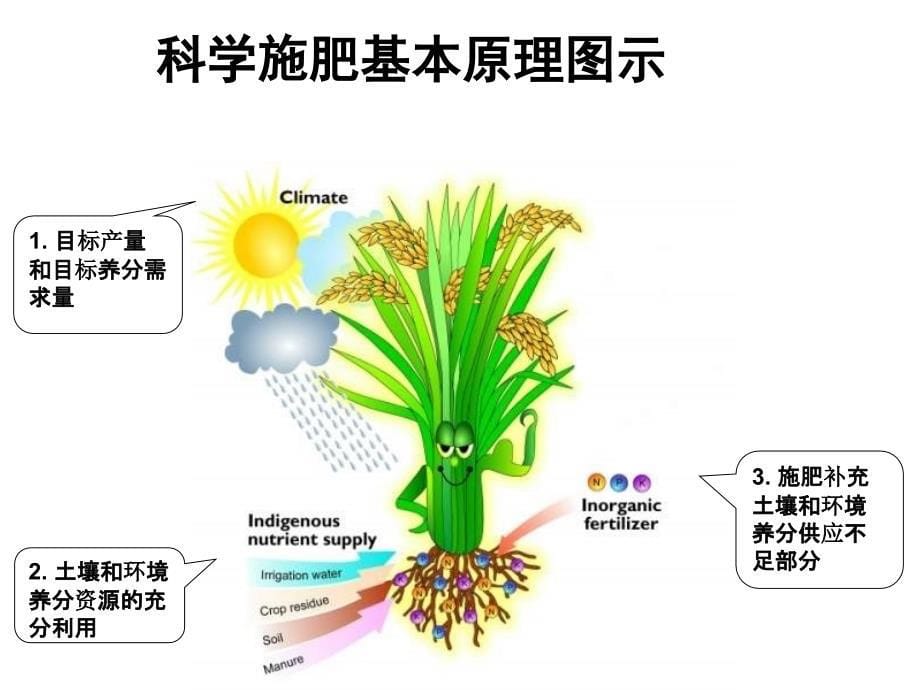 测土配方施肥及作物施肥技术 (2)_第5页