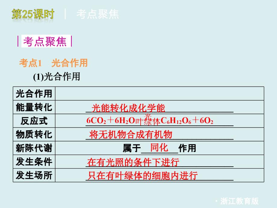 第25课时光合作用和呼吸作用_第3页