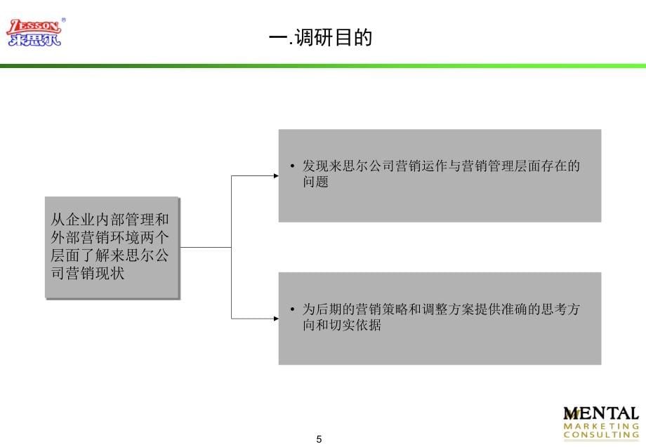 来思尔市场调研与营销诊断报告_第5页