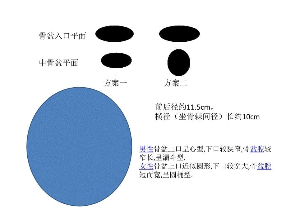 人体骨盆的结构介绍20150806_第5页