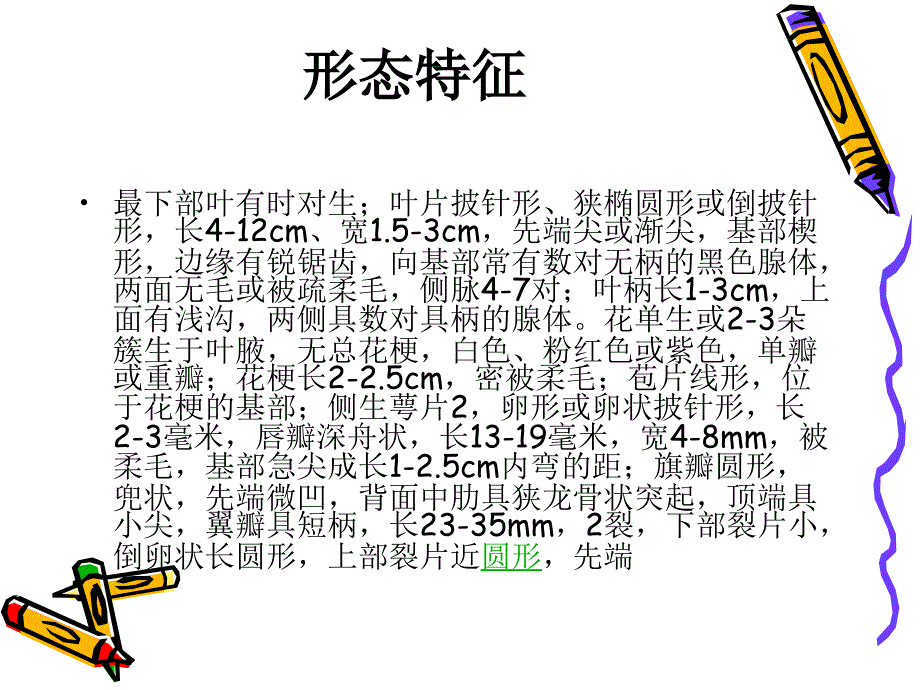 第七组凤仙花_第4页