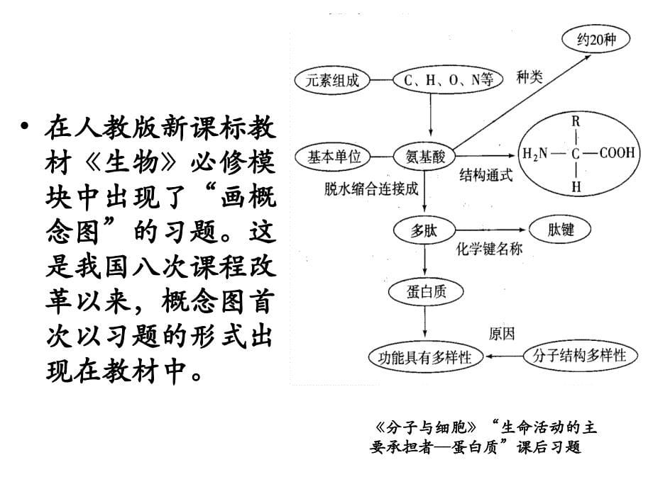 构建概念图进行有效复习12.19_第5页